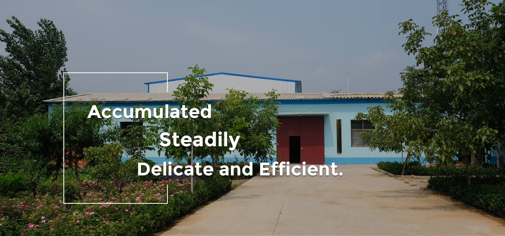 Shijiazhuang Aoqi Electronic Technology Co., Ltd.